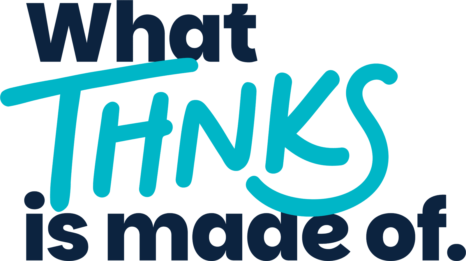 What THNKS is made of